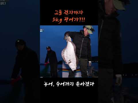 오늘 그물 속은 횟집 수준… #shorts