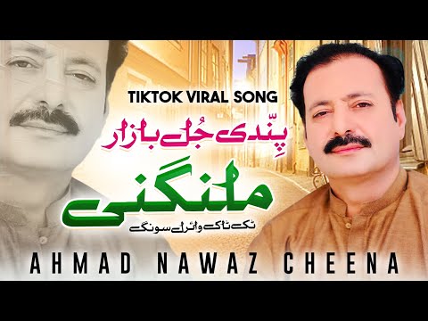 Pindi Jul Bazar Malangni | Ahmad Nawaz Cheena | TikTok Viral Song | Ishrat Dheer Diware Kolon