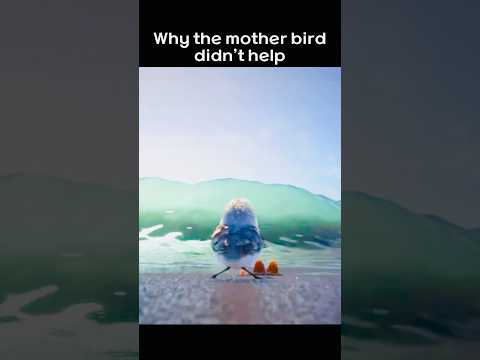 The mother bird’s lesson #growth #animation #shorts