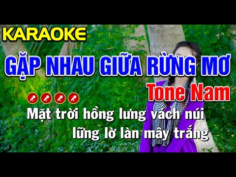 ✔ GẶP NHAU GIỮA RỪNG MƠ Karaoke Tone Nam | Bến Tình