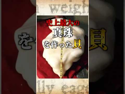 大金持ち！世界最大の真珠を生み出すオオシャコガイ #shorts 動物