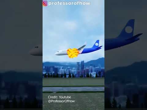 Apa yang terjadi saat Bird Strike? #pilot #aviation #vincentraditya #airbus #aircraft #pesawat