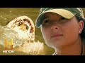Team Dynamics in Alligator Hunting