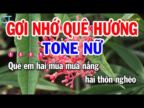 Karaoke Gợi Nhớ Quê Hương Tone Nữ ( Em ) Nhạc Sống Mới | Karaoke Tuấn Kiệt