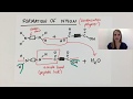 Polymerization Processes and Concepts