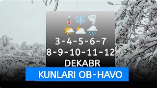 Декабр 2025. Ёғингарчилик бошланади!