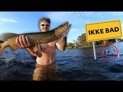Hvor Mange Gjedder Får Jeg På 3 Timer