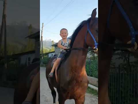 АТ ЖАЛЫНДА КЫРГЫЗ ГАНА МЫКТЫ