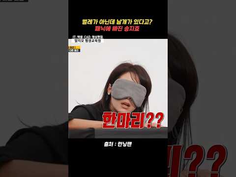 런닝맨 - 벌레가 아닌데 날개가 있다고? 패닉에 빠진 송지효 #런닝맨 #송지효 #shorts #runningman