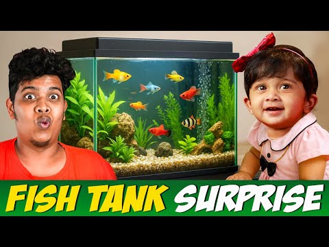 Buying Fish Tank for Ifa ❤️ - Irfan's View