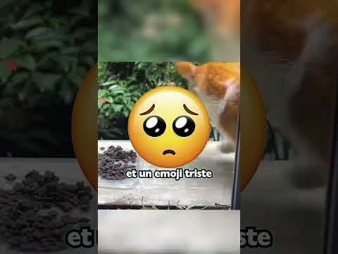 Ne Touchez pas cette plage ! 😱