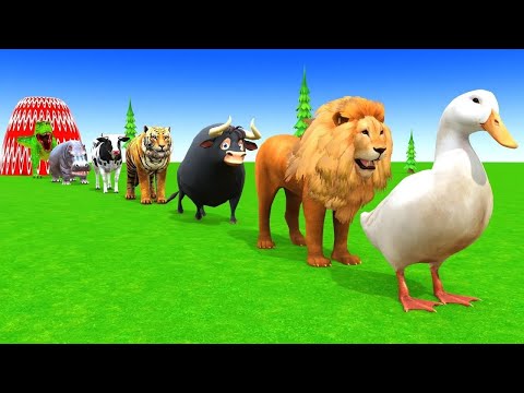 Long Slide Game With Elephant Gorilla Buffalo Hippopotamus Tiger 3d Animal Funny Game, Paint Animals