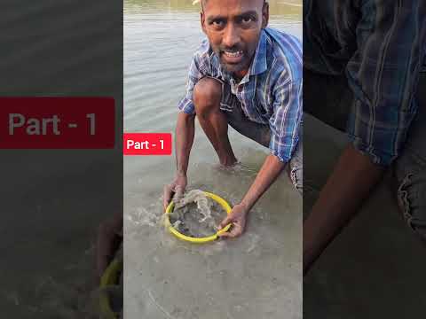 बालू छान के लाखों रुपए कमाते हैं part- 1 #shortvideo #youtubeshorts #shortsbeta #haridward #river