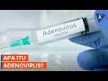 Kuis Adenovirus
