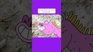 🧹 Earth Cubs! | Meet the Centipedes: Bug World’s Cleaners! 🐛♻️