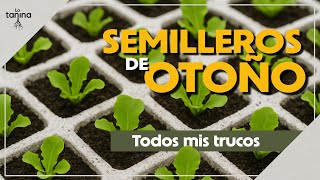 Así organizo mi HUERTO de OTOÑO.🥬