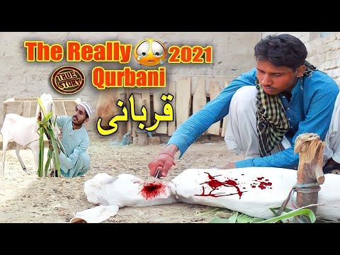 Really Qurbani |Emotinol Story 2021 |By Tahir videos