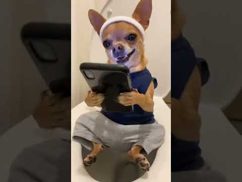 He Was Watching Reelsโฆ While Big Bro Was Fighting for His Life! ๐ถ๐ช๐ #shorts