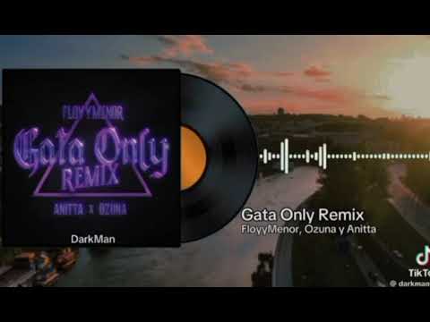 Gata Only remix 2025.   |  FloyyMenor, Ozuna y Anita  |  version completa
