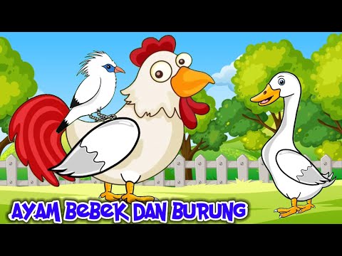 Pok Ame Ame Belalang Kupu Kupu  | Ayam Bebek Dan Burung | Lagu Anak Anak Terbaru