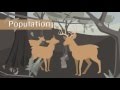 Levels of Biological Organization Explored