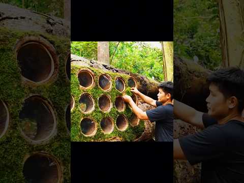 He Built a House Inside a Tree | Jungle Survival.
