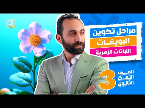 التكاثر 3 ثانوي | تكوين البويضات في النباتات الزهريه