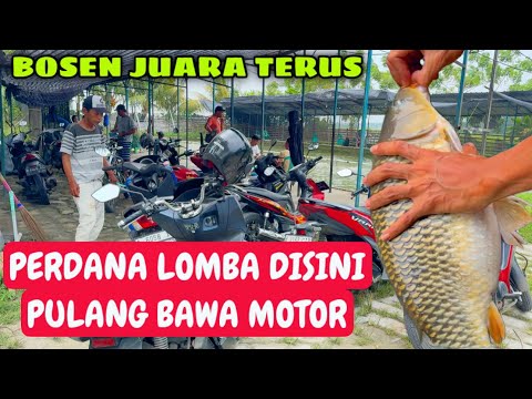 Baru Pertama Kali Mancing Disini Langsung Juara‼️