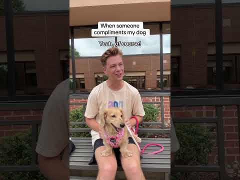 Nothing Better Than Someone Complimenting My Dog😂🥹