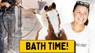 My Oldest Horse Gets A Bath!