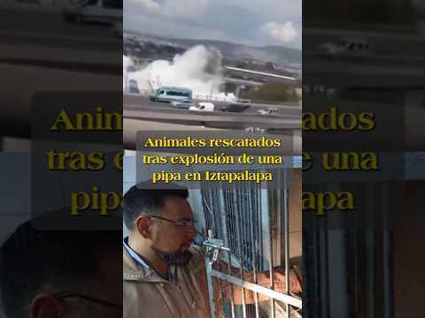 ¿Qué animales lograron rescatar tras la explosión de una pipa de gas en Iztapalapa?