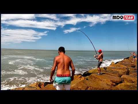 MUCHA PESCA ESTE PESCADOR CASI NO PUDO LEVANTAR SU CAPTURA