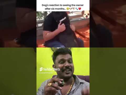 I am proud to say I am a #doglover இந்தப் பிரபஞ்சத்திலேயே அன்பான உயிரினும் நாய்கள் மட்டுமே#dog#love