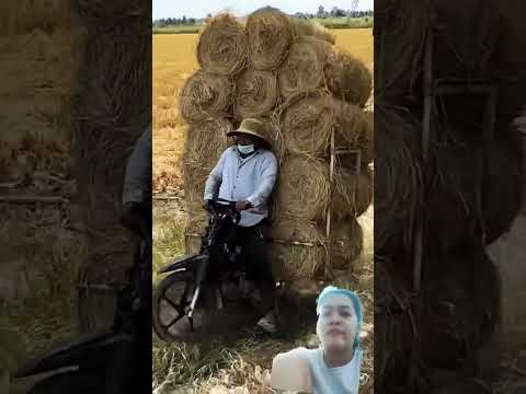 Xe chở rơm ở Việt Nam