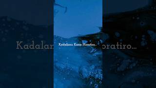 Kadalanu | Sapta sagaradaache ello | kannada song | rakshit Shetty | rukmini | lyrical status song