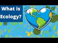 Exploring the Interactions in Ecology