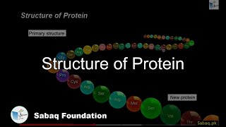 Structure of Protein