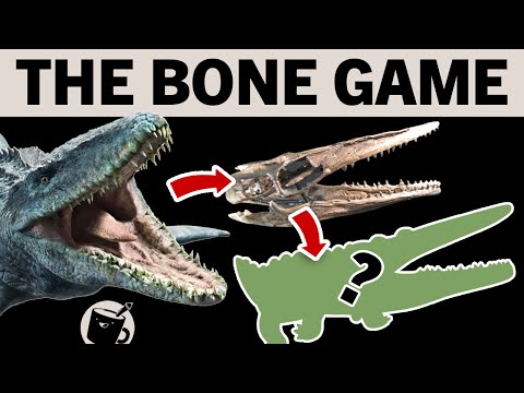 Drawing Prehistoric Animals Based On Their Skulls