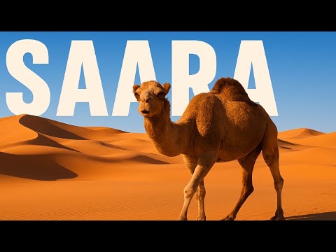 Saara: Um Tesouro Natural Escondido na Areia