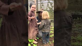 First radish harvest #offgrid #homestead #farming #greenhouse #farming101 #raddish