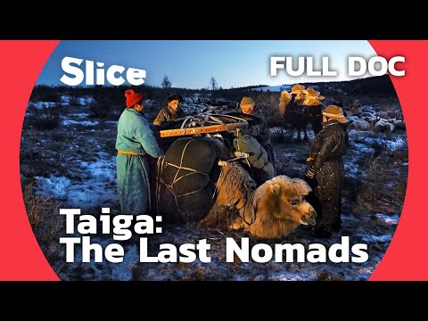 YouTube video thumbnail: Mongolian Nomads’ Ultimate Dilemma