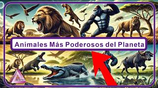Los Animales Más Fuertes del Mundo: ¡Increíbles Habilidades de la Naturaleza!