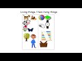 Living and Non-Living Things