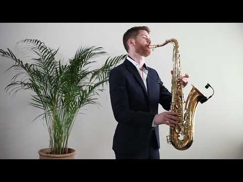 Quiet Night of Quiet Stars