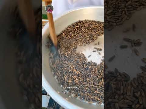 যে জিনিসটা আমরা ফেলে দিই, সেটা দিয়ে দুবাইয়ের লোকেরা লাখ টাকা আয় করে!#shorts #viralshorts
