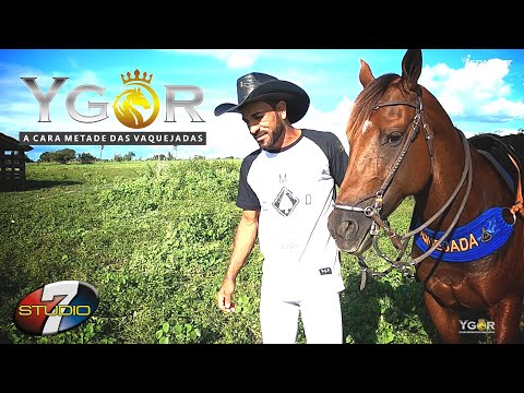 Ygor a Cara Metade - SAUDADE DA MINHA TERRA ( CLIP )