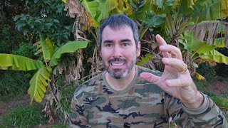 COMEÇOU | DEUS MANDOU AVISAR