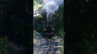 der Sachsenzug dampft hinter Bertsdorf