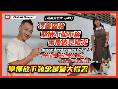 [萌寵變惡犬 Ep03] 擇善固執 堅持不離不棄 雨後必見陽光 學懂放下執念是最大得着  From Adorable Pet to Vicious Dog Ep.3