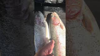 Got to have good sportsmanship 🤣 #funny #fishing #trout #socal #troutfishing